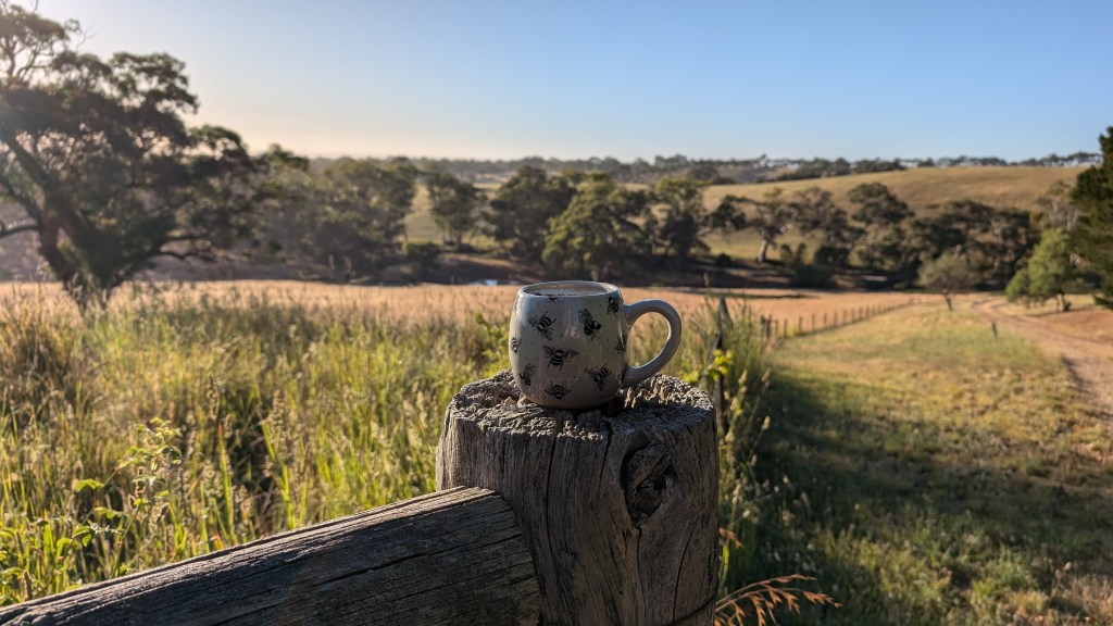 Living Authentically: Beyond the Perfect&nbsp;Image