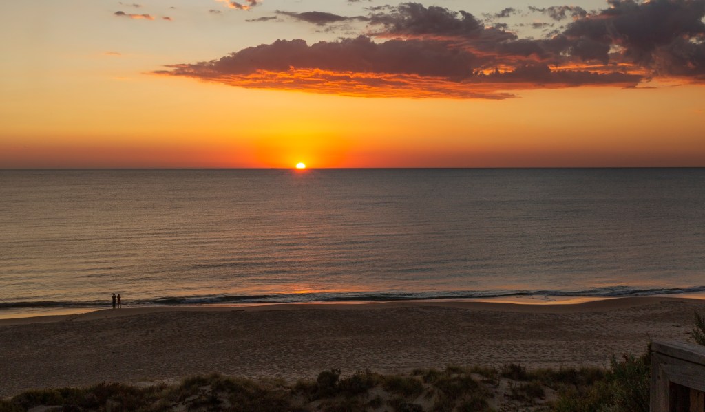 New Year, Sustainable You: A Fresh&nbsp;Approach