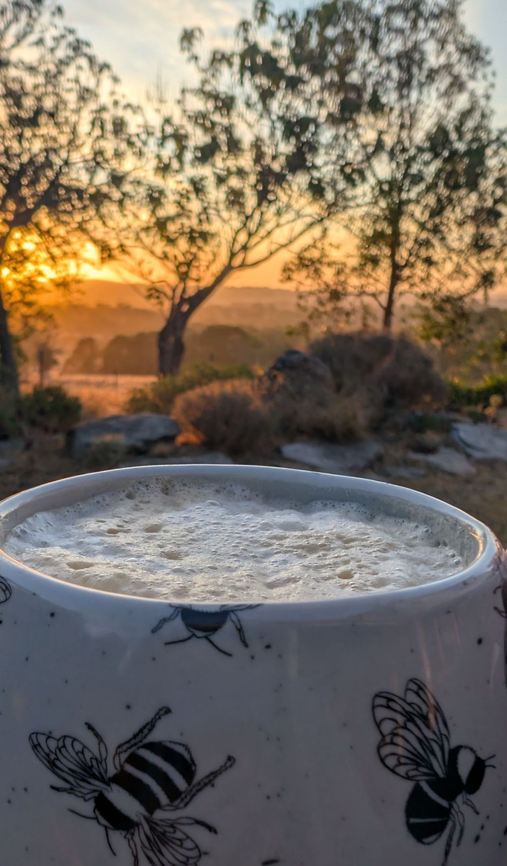 Embracing Fika: The Art of Intentional&nbsp;Breaks