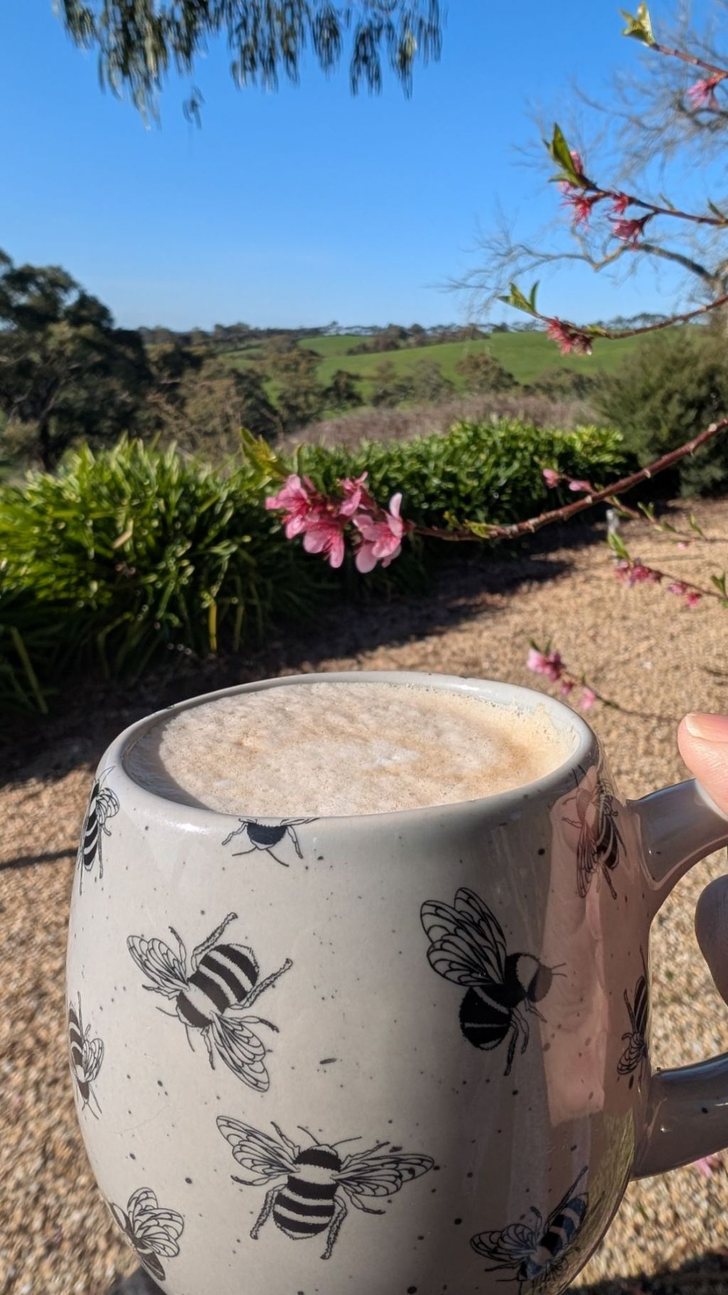 Reframing Rest: Why Downtime is&nbsp;Essential